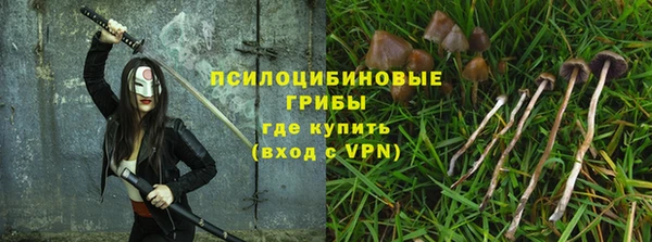 apvp Михайлов